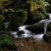 09 b Schluchensteig Etappe 4 - 6